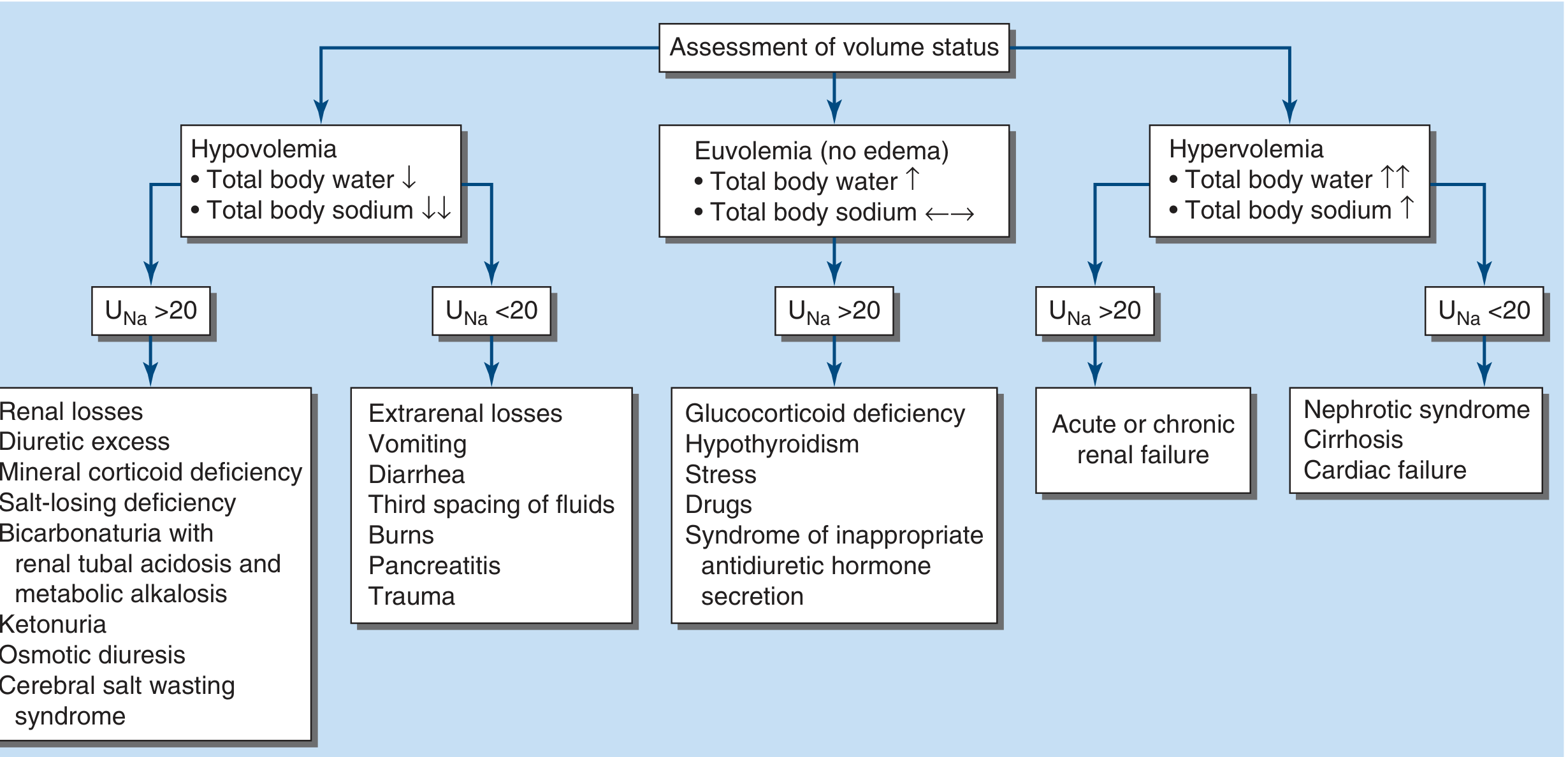 Harrison's diagnostic approach to hyponatremia - volume assessment with urine Na branching