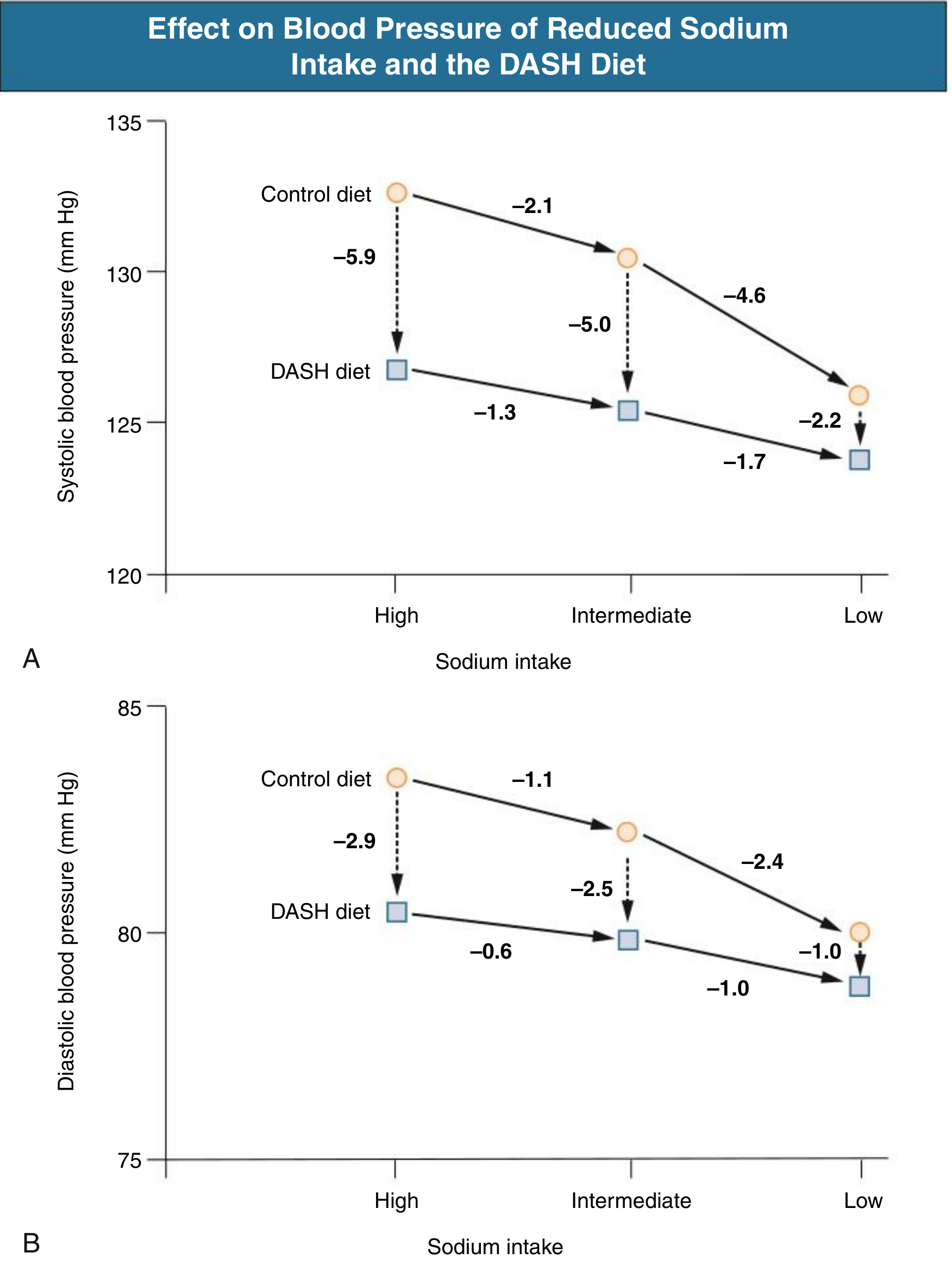 Effect on Blood Pressure of Reduced Sodium Intake and the DASH Diet