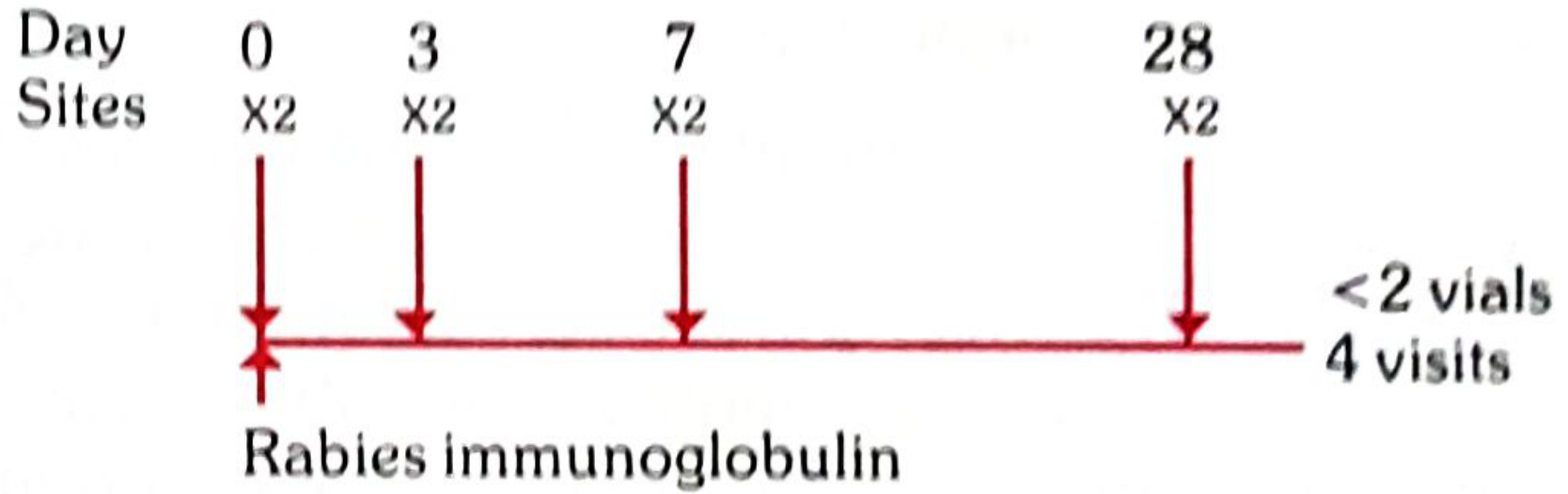 2-site intradermal regimen: Days 0, 3, 7, 28 at 2 sites, with RIG
