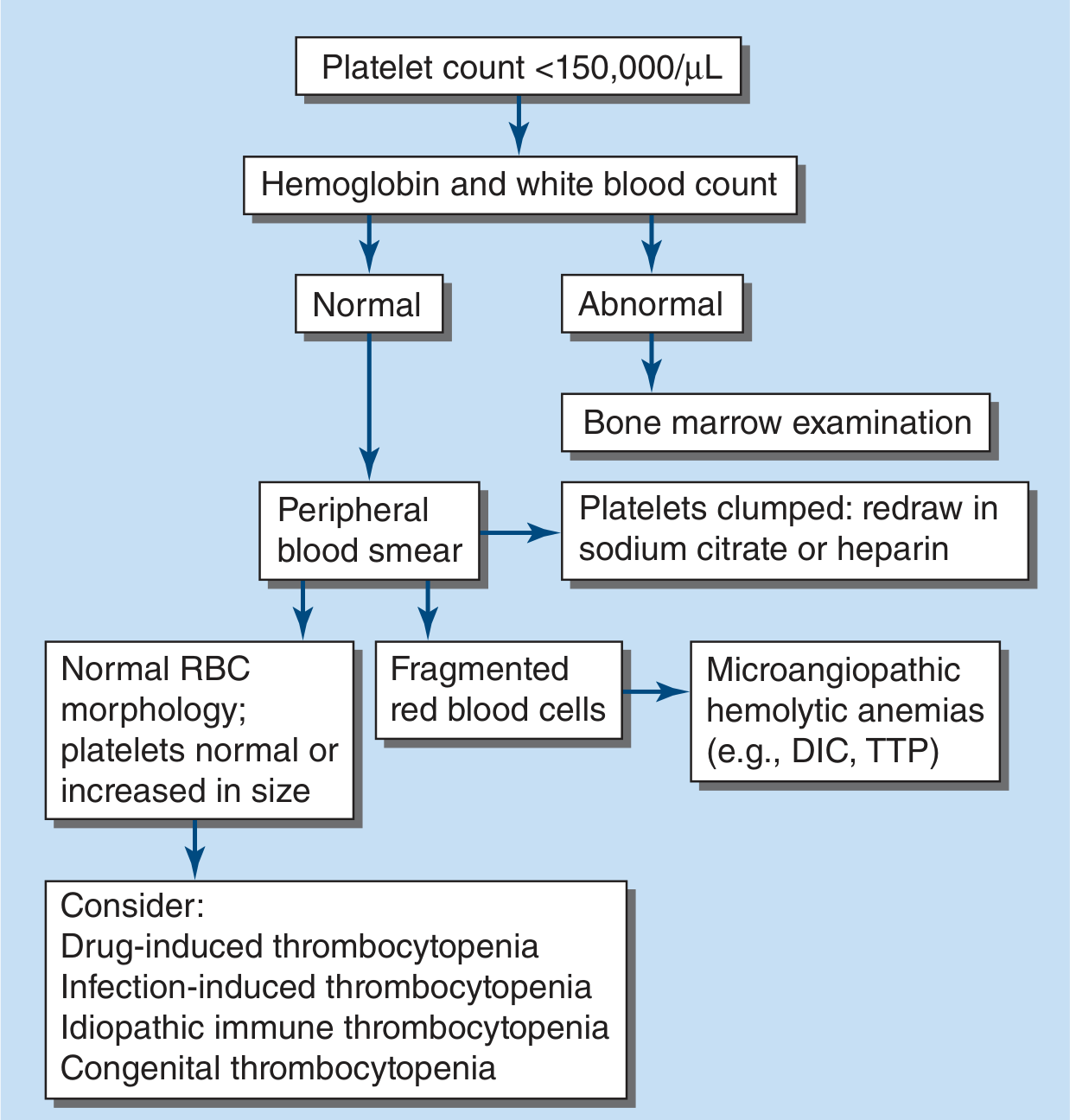 Algorithm for evaluating the thrombocytopenic patient - Harrison's Principles of Internal Medicine 22E
