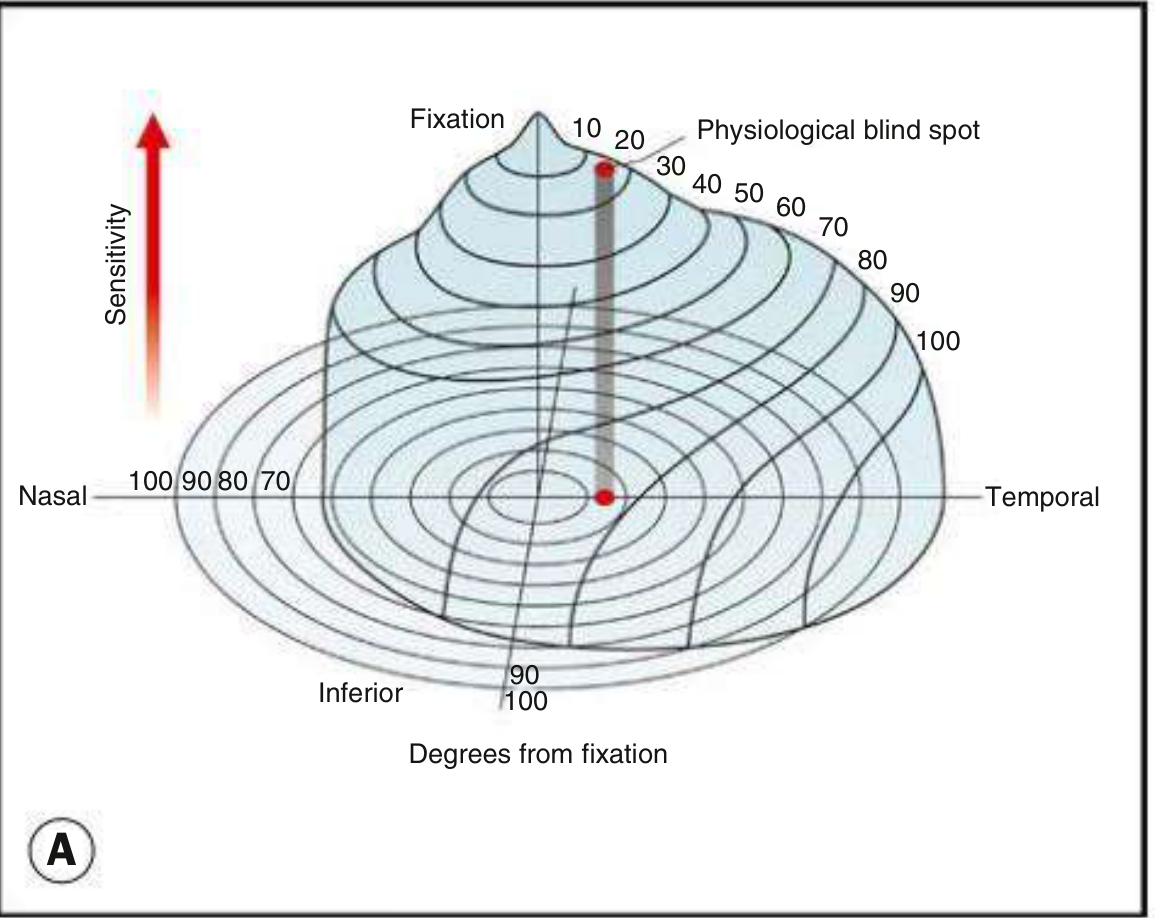 Hill of Vision - 3D representation showing the island of vision with the foveal peak and physiological blind spot