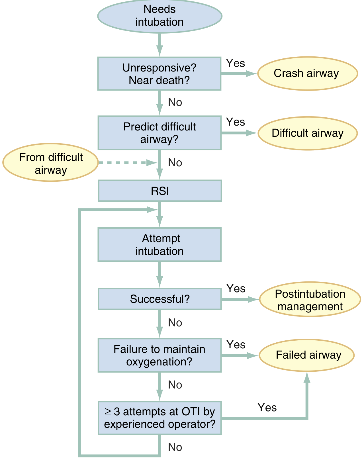 Main Emergency Airway Management Algorithm