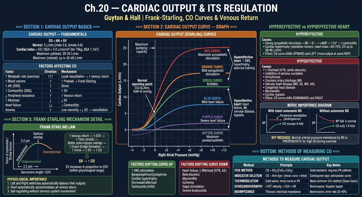 Ch20 Part 1 — Cardiac Output Curves & Frank-Starling