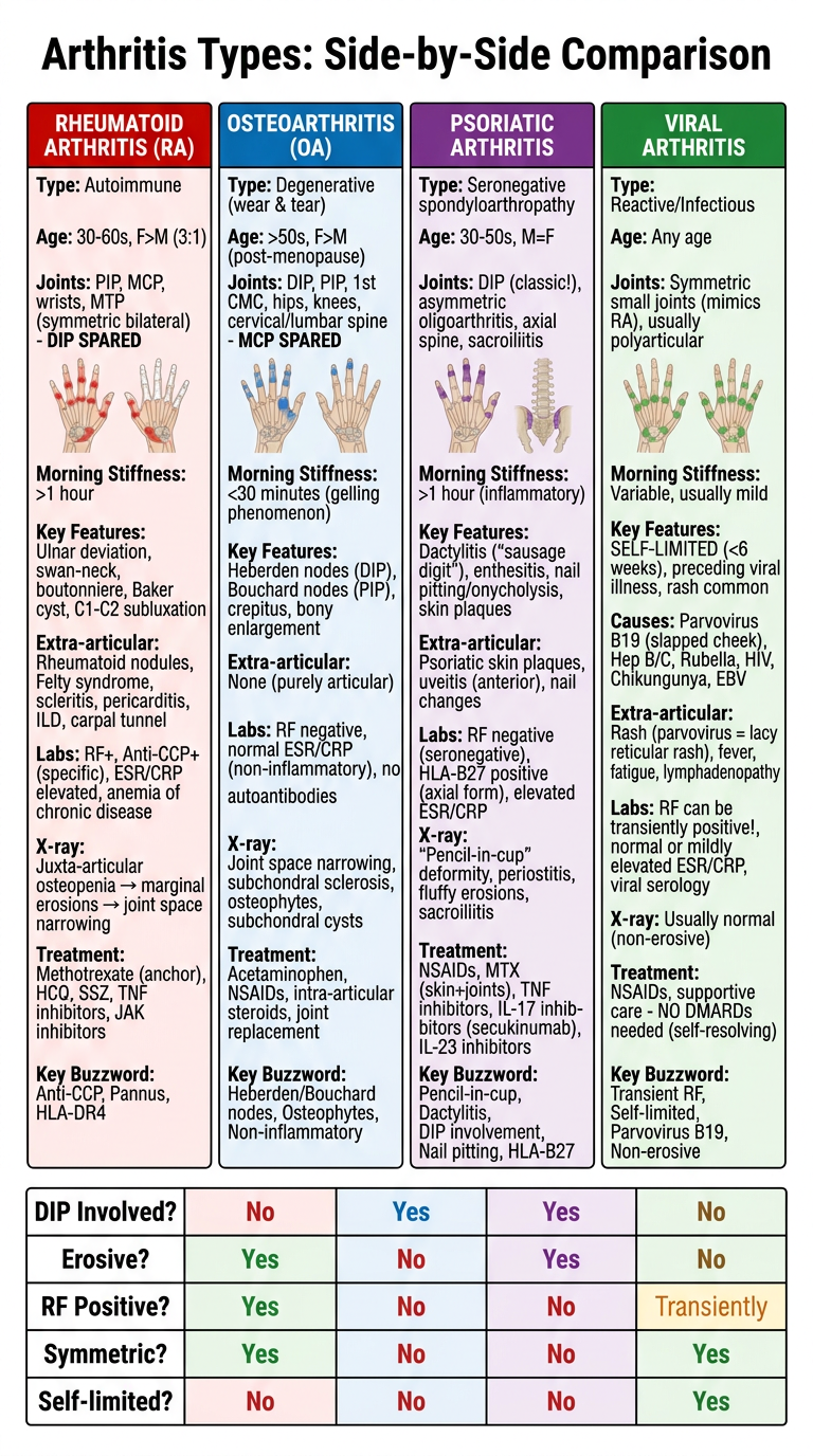 Arthritis Comparison Poster: RA vs OA vs Psoriatic vs Viral