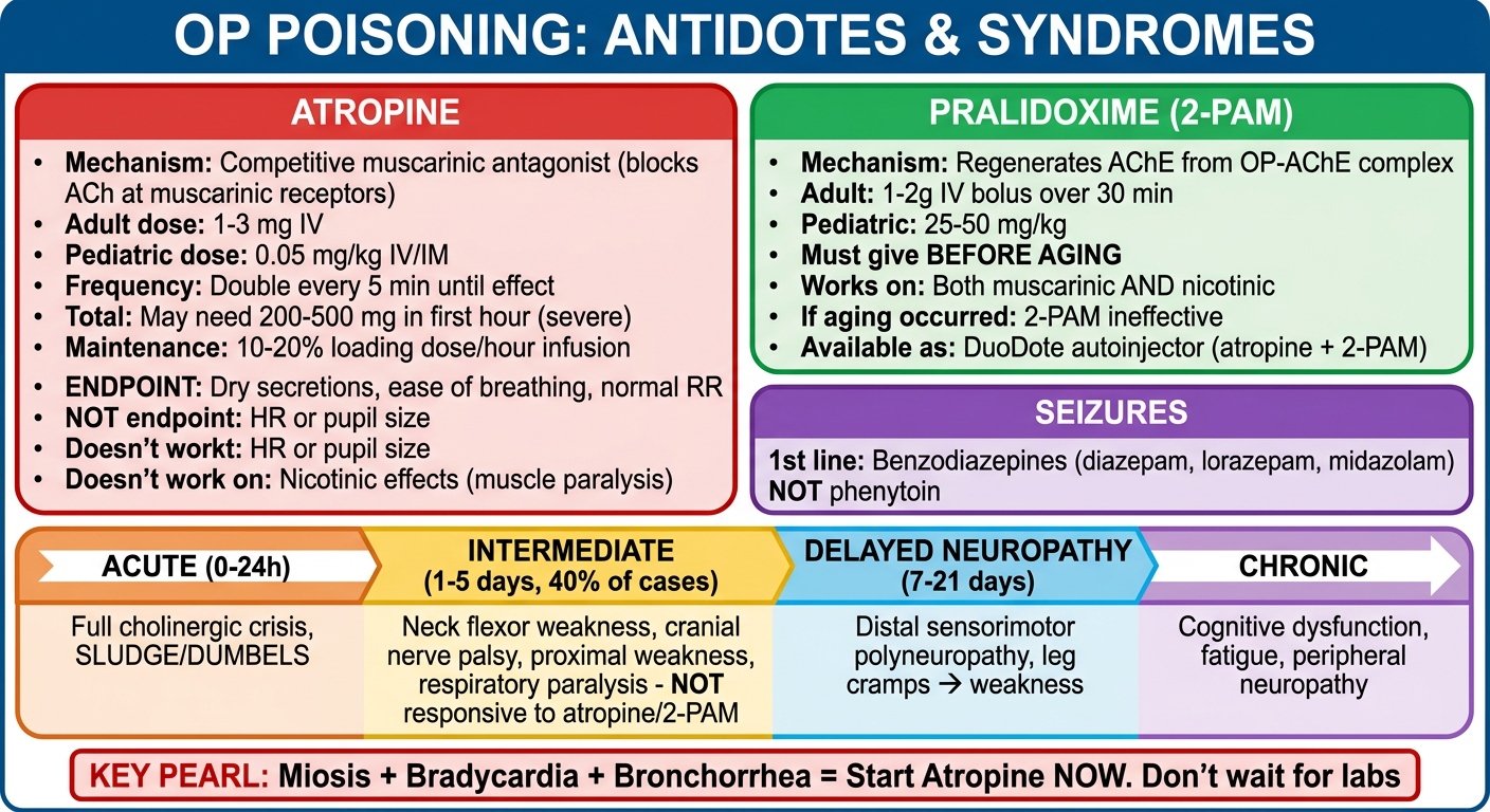 OP Poisoning Antidotes & Syndromes