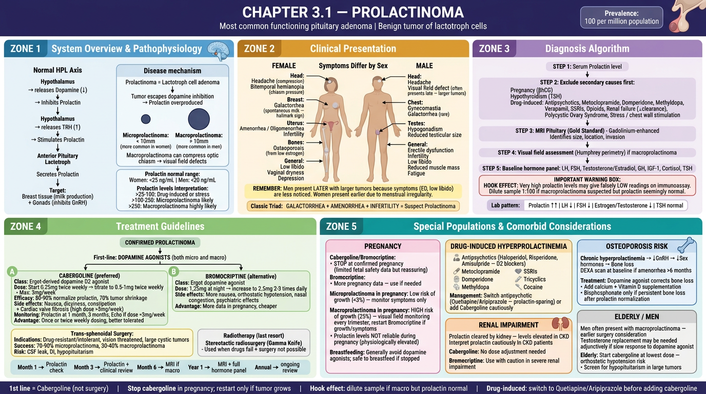 Chapter 3.1 β Prolactinoma