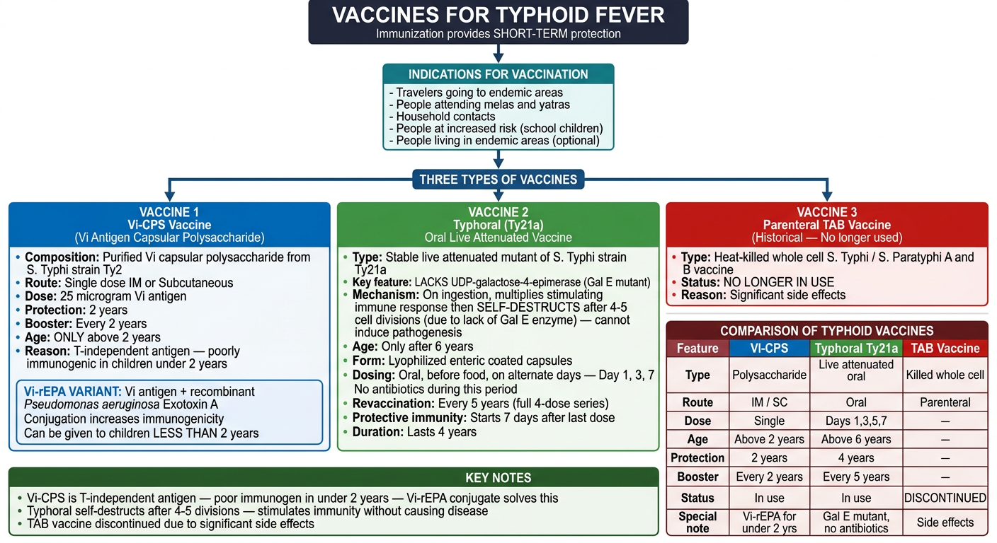 Vaccines for Typhoid Fever - Complete Flowchart