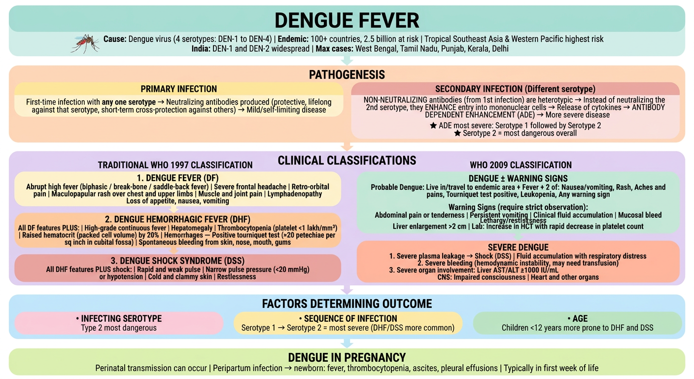 Dengue Fever - Pastel Flowchart