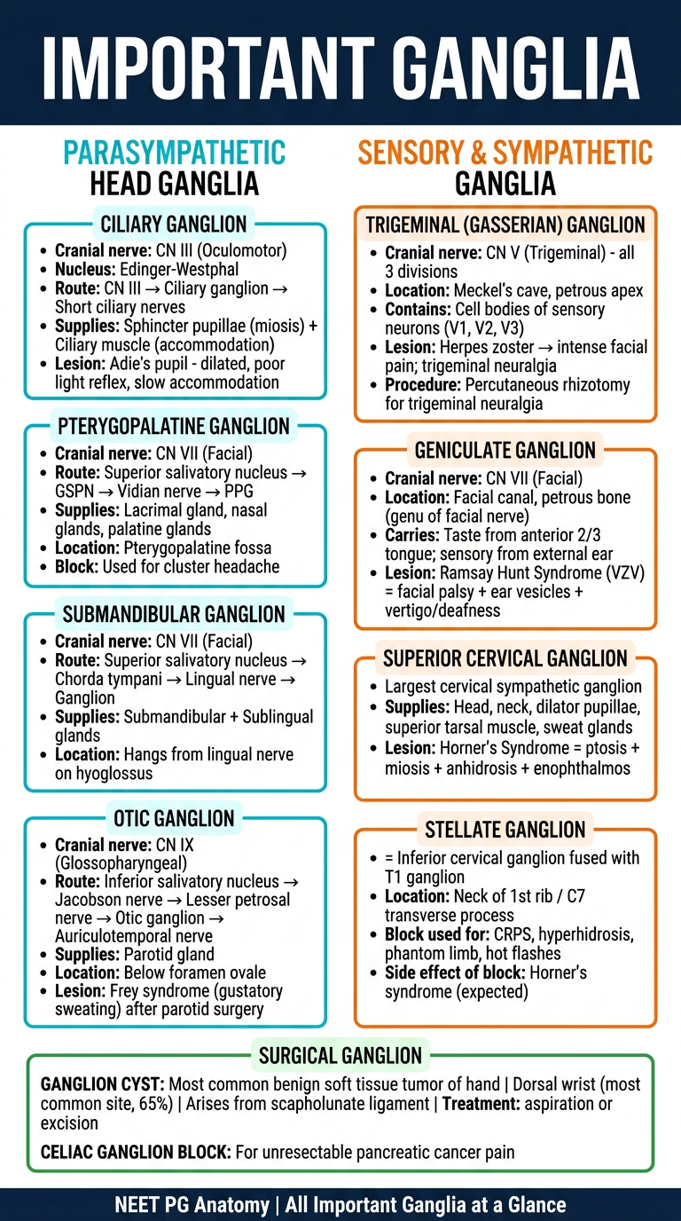 Important Ganglia for NEET PG