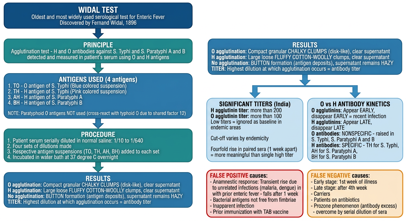 Widal Test - Complete Flowchart