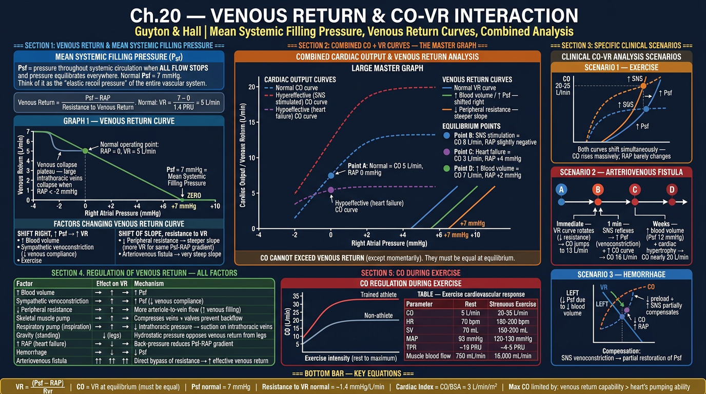 Ch20 Part 2 — Venous Return & Combined Analysis