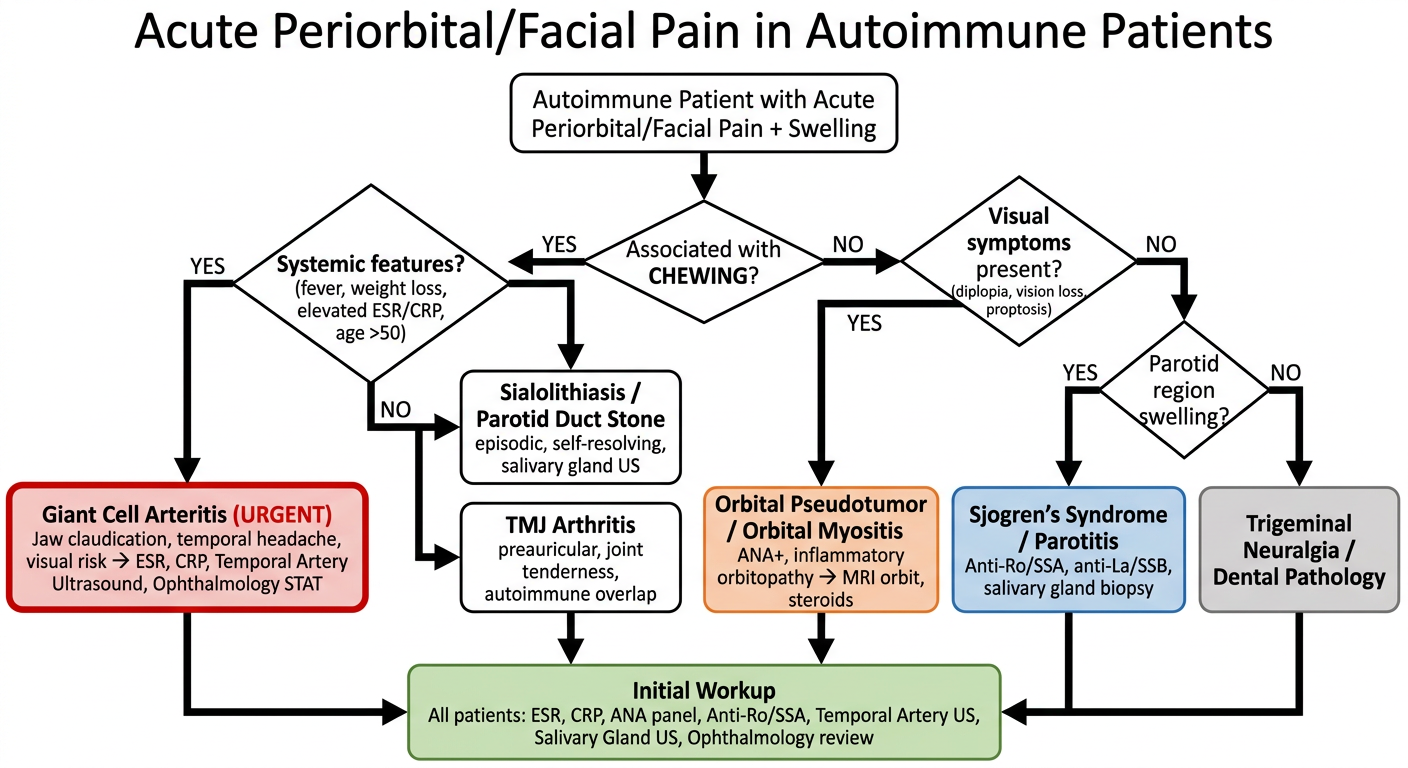 Diagnostic Flowchart - Acute Periorbital/Facial Pain in Autoimmune Patients