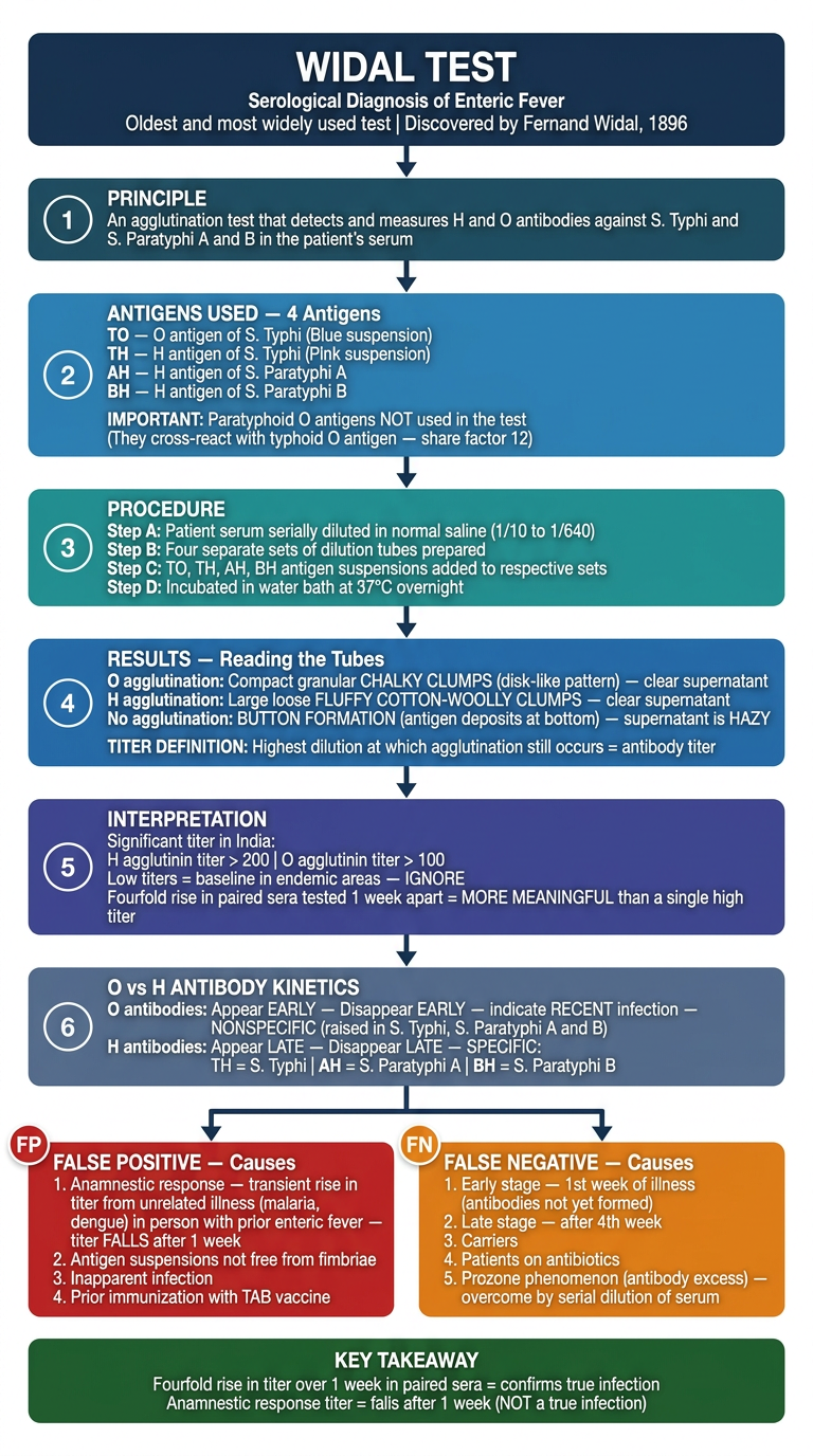 Widal Test - Systematic Flowchart