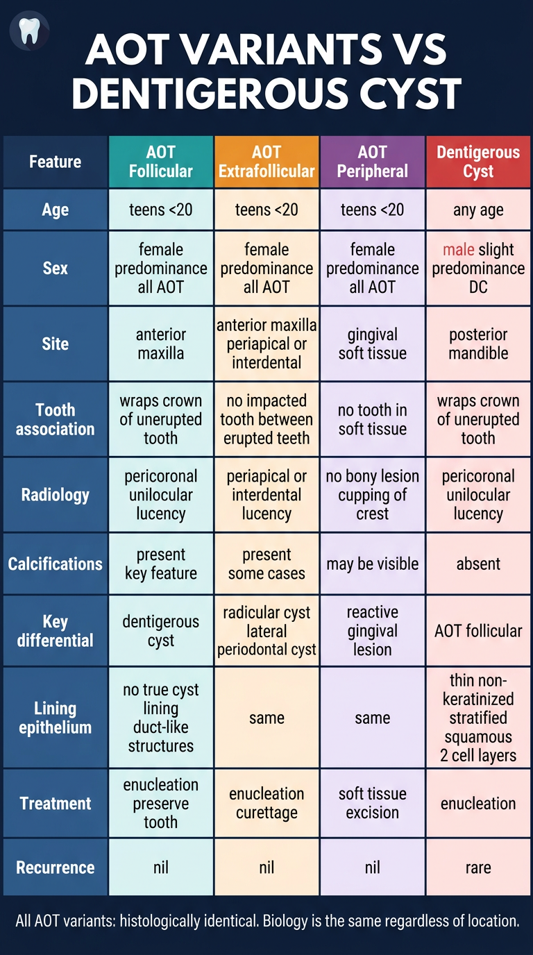 AOT Variants vs Dentigerous Cyst comparison poster