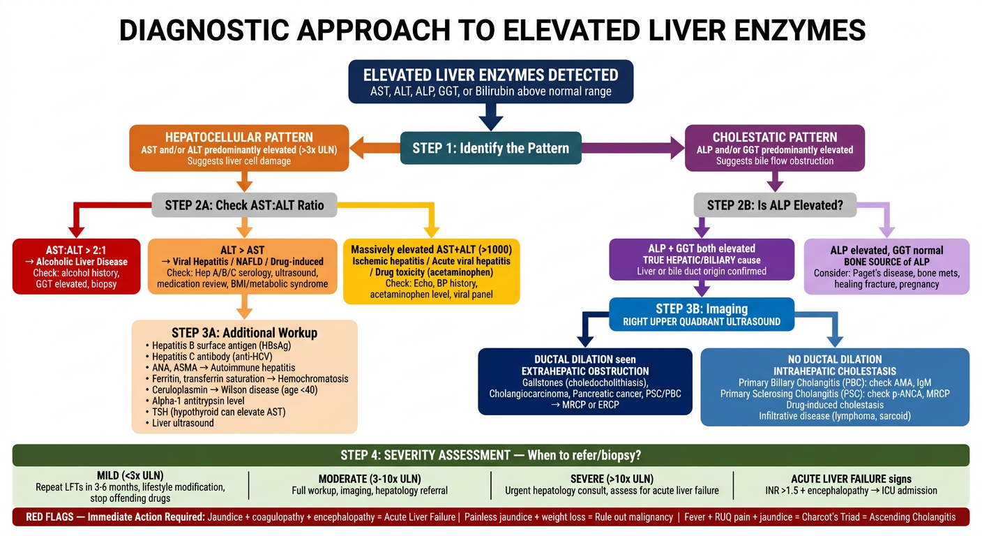 Elevated Liver Enzymes Diagnostic Flowchart
