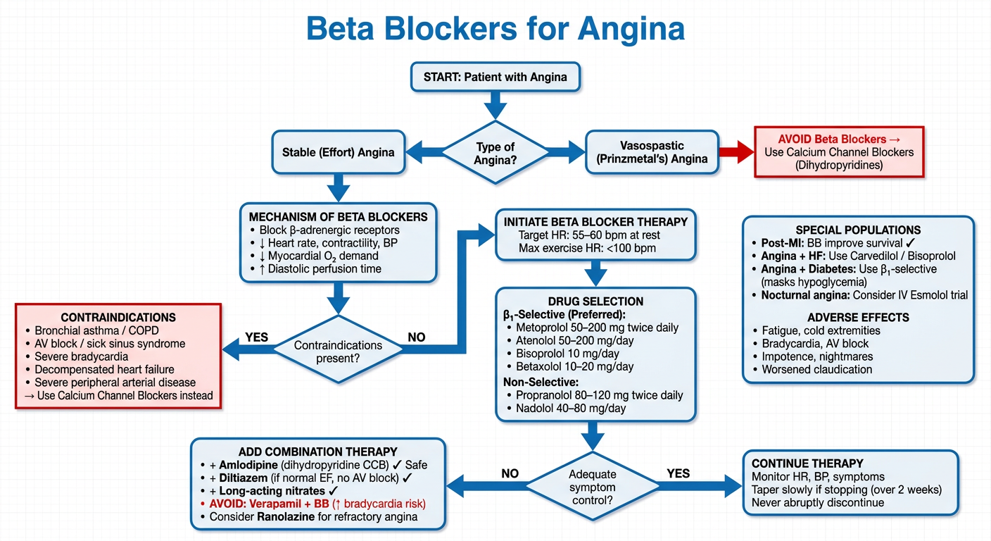 Beta Blockers for Angina Flowchart