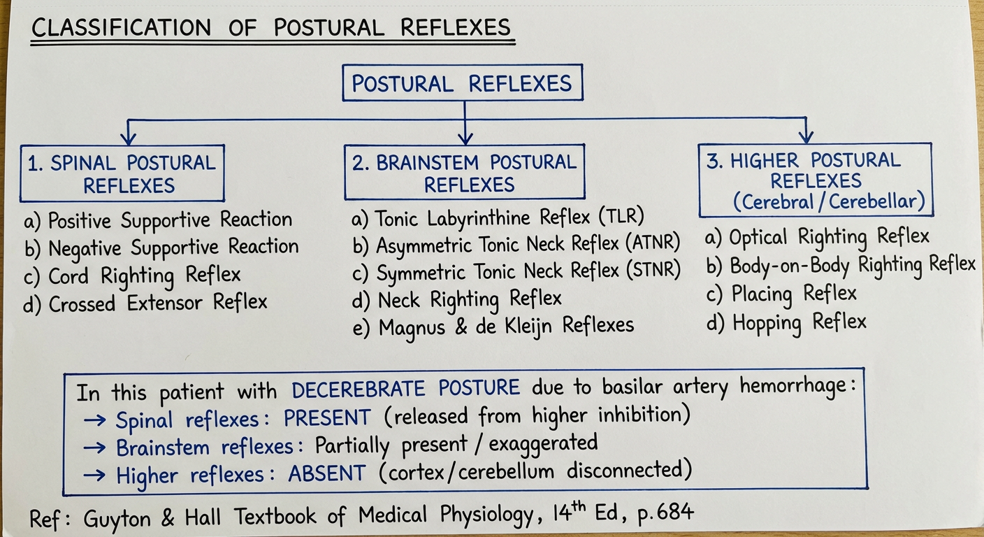 Page 2 - Classification Chart