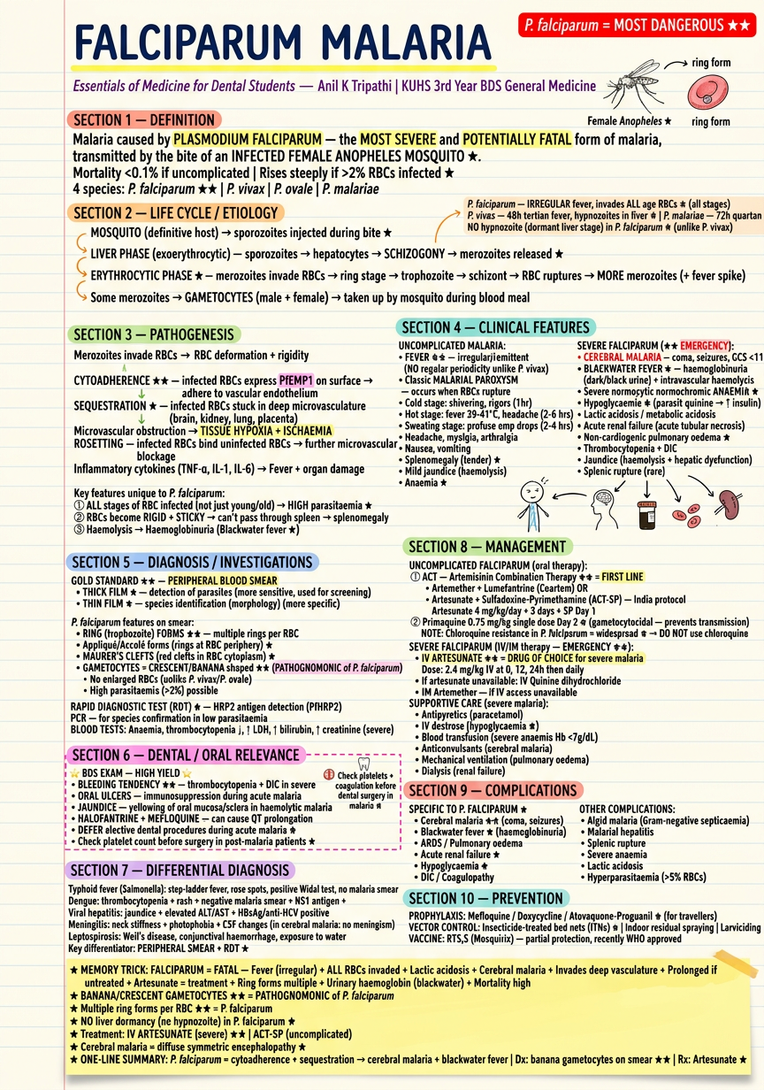 Falciparum Malaria Revision Notes