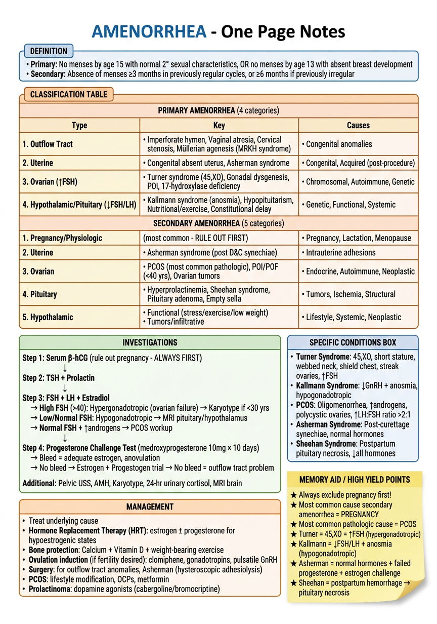 Amenorrhea One-Page Exam Notes