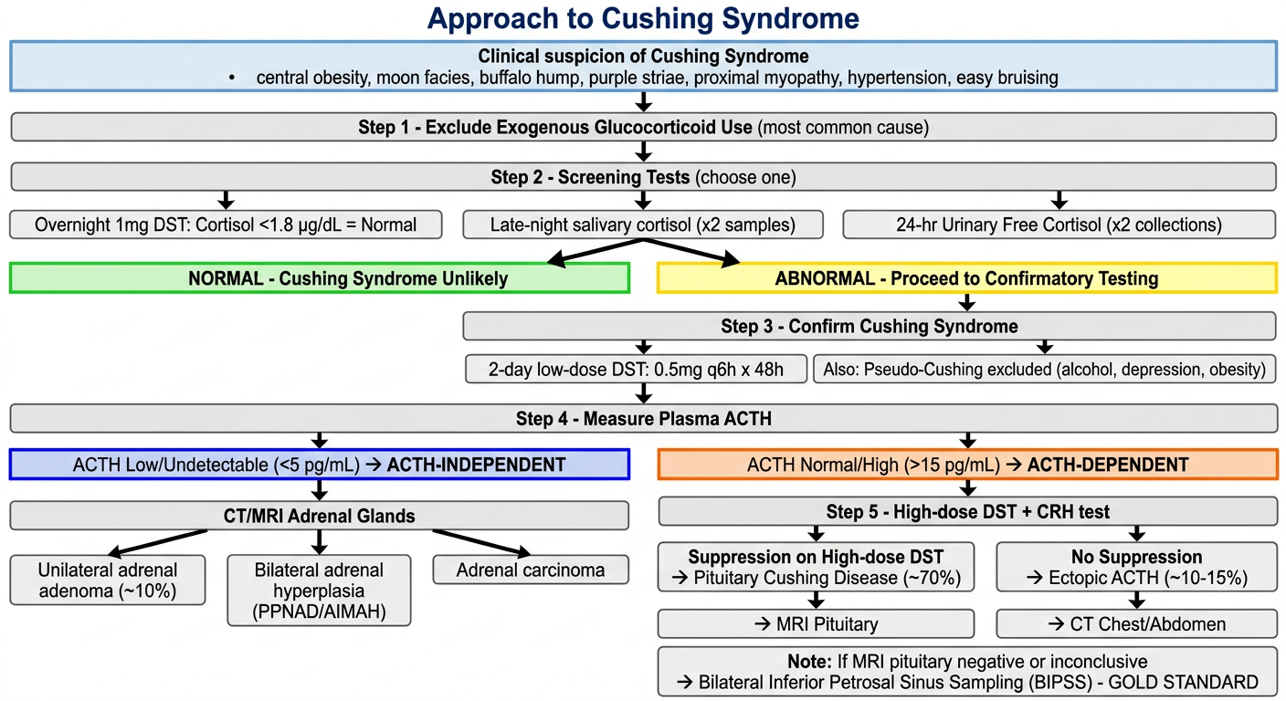 Approach to Cushing Syndrome - Diagnostic Flowchart