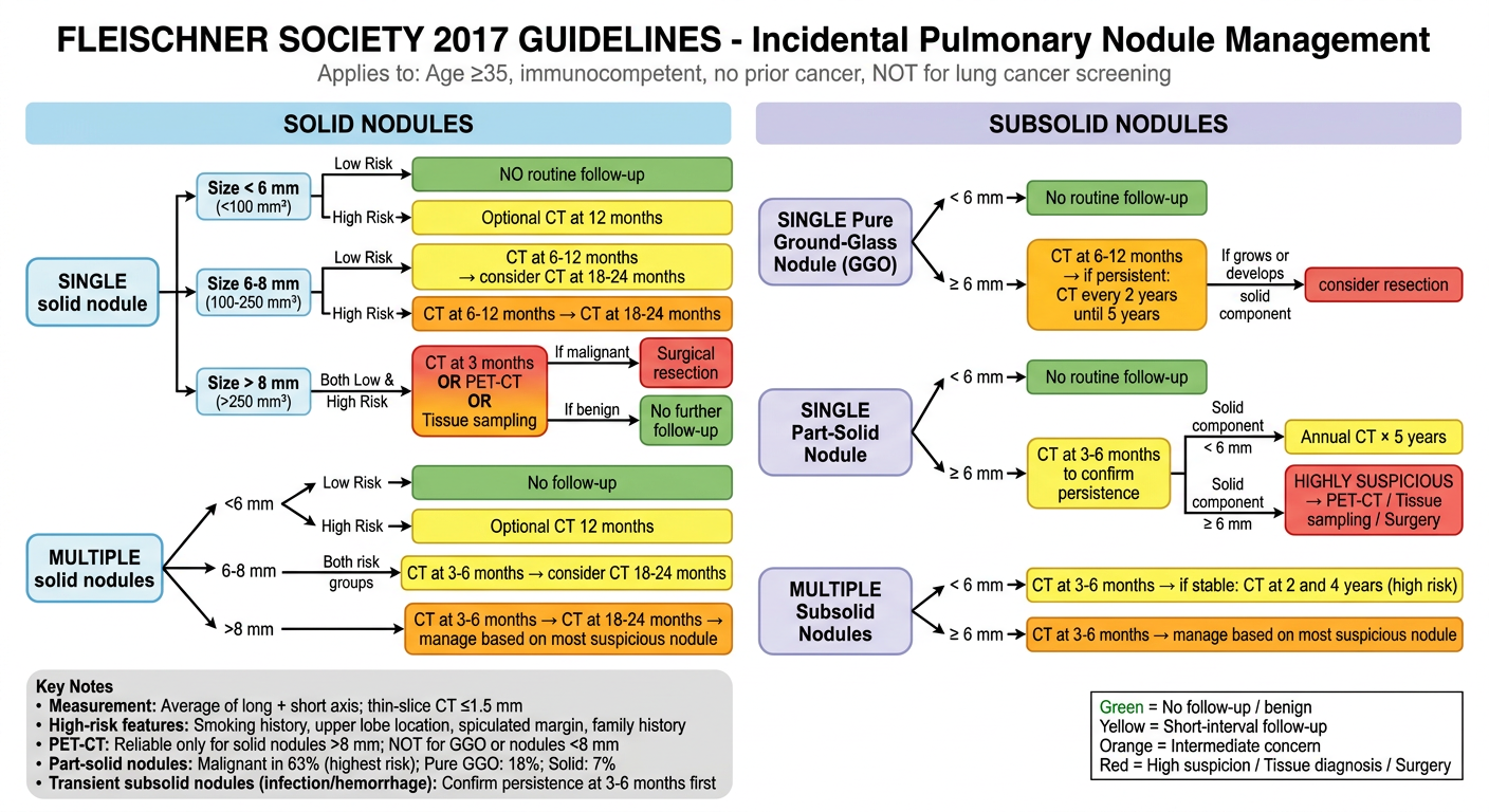 Fleischner Society 2017 Guidelines - SPN Management Algorithm