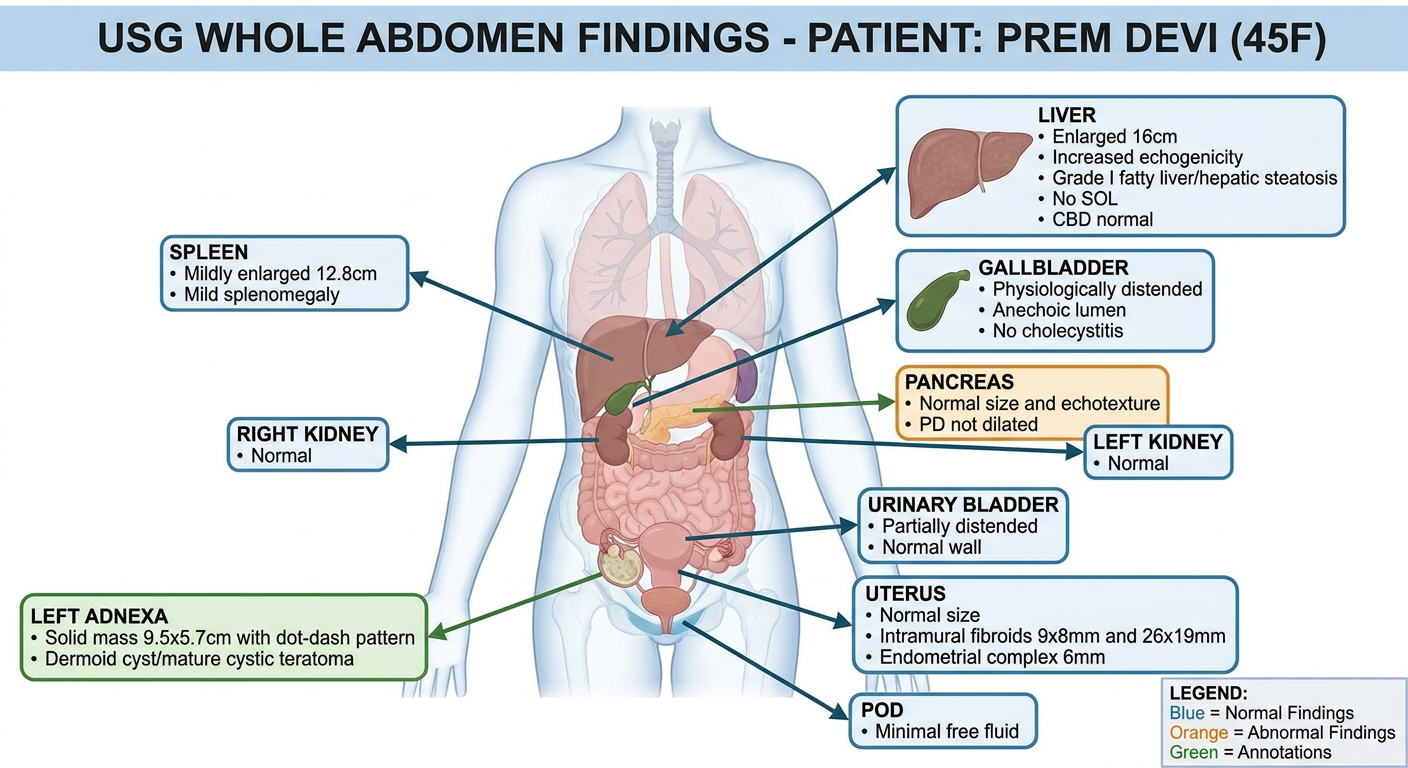 USG Whole Abdomen Diagram