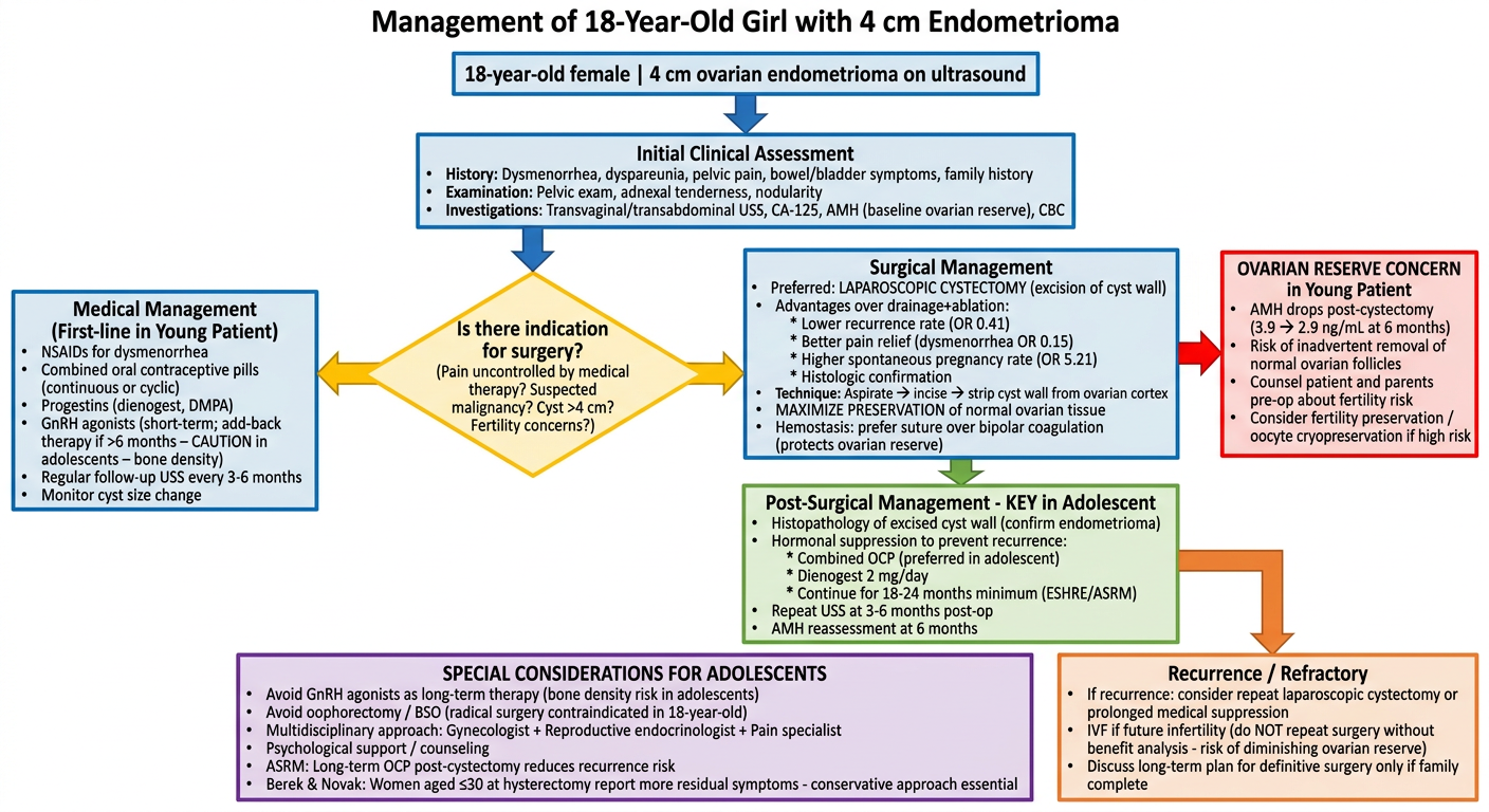 Management of 18-Year-Old with 4 cm Endometrioma