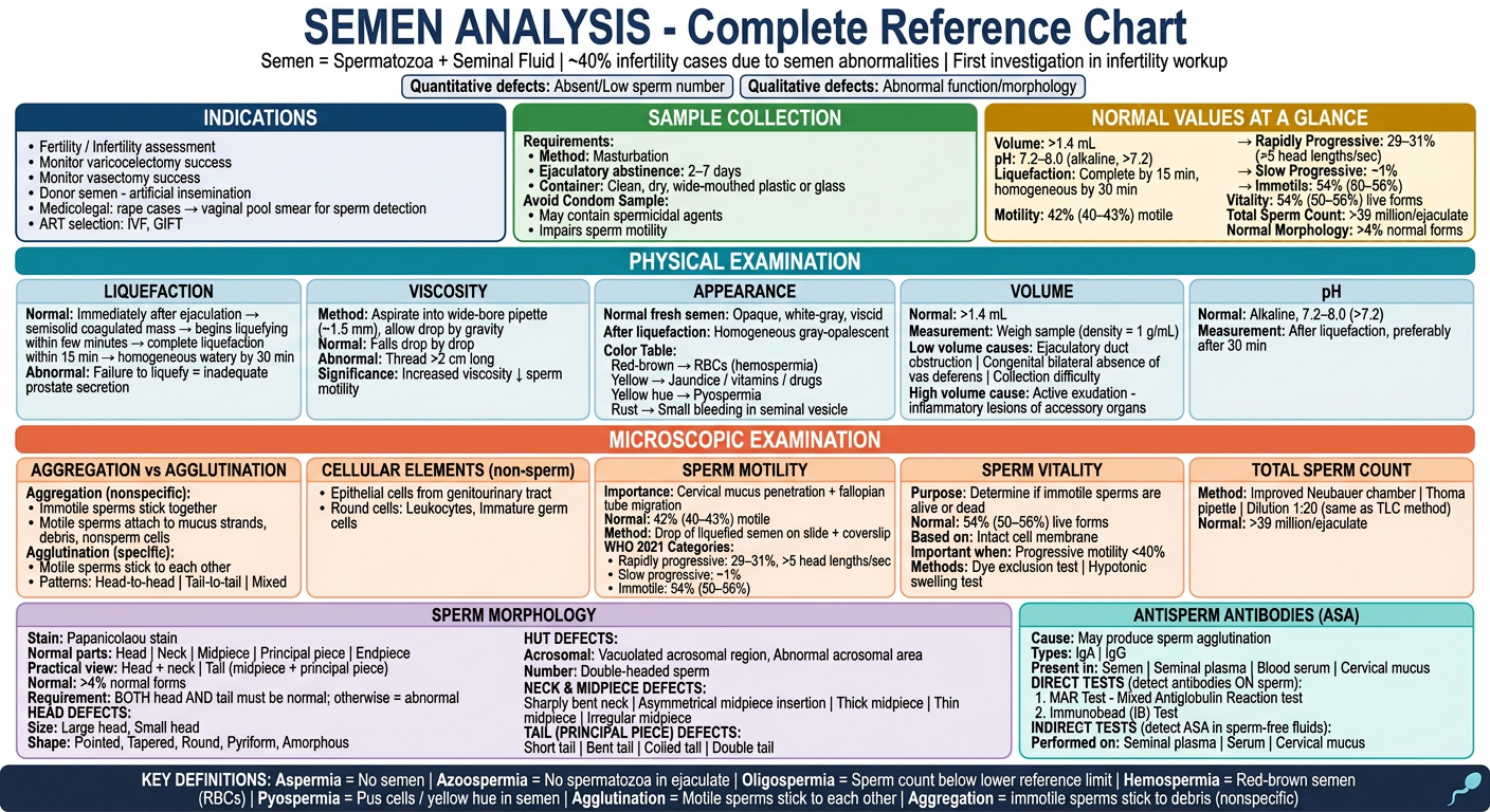 Semen Analysis Complete Masterchart