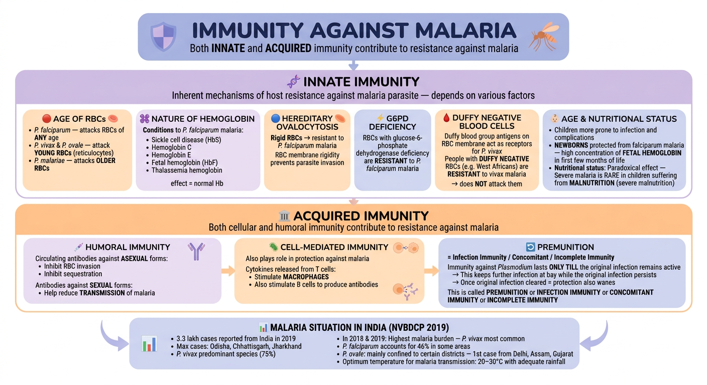 Immunity Against Malaria - Pastel Indigo & Orange Flowchart