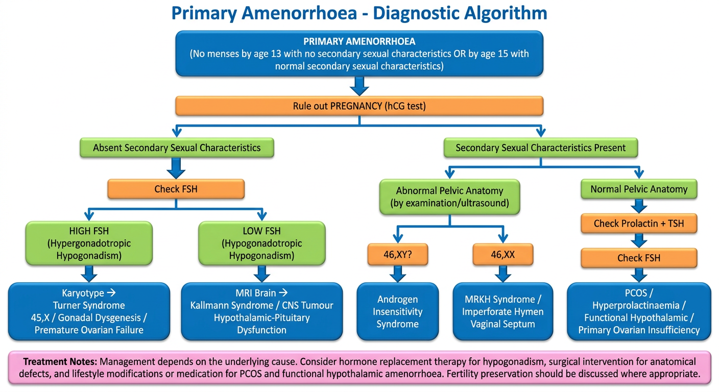 Primary Amenorrhoea Flowchart