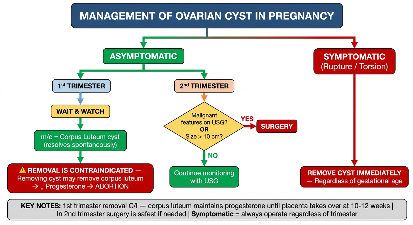 Management of Ovarian Cyst in Pregnancy