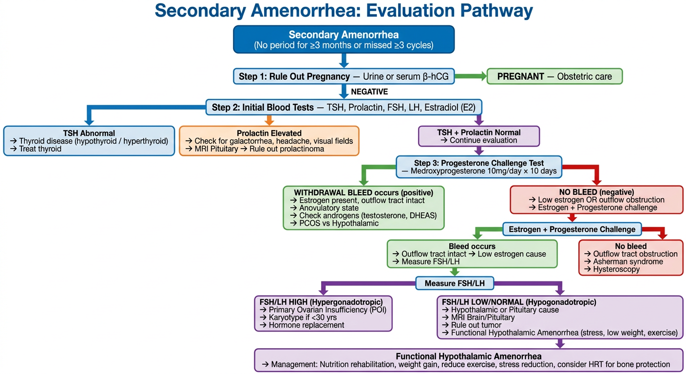 Secondary Amenorrhea Evaluation Pathway