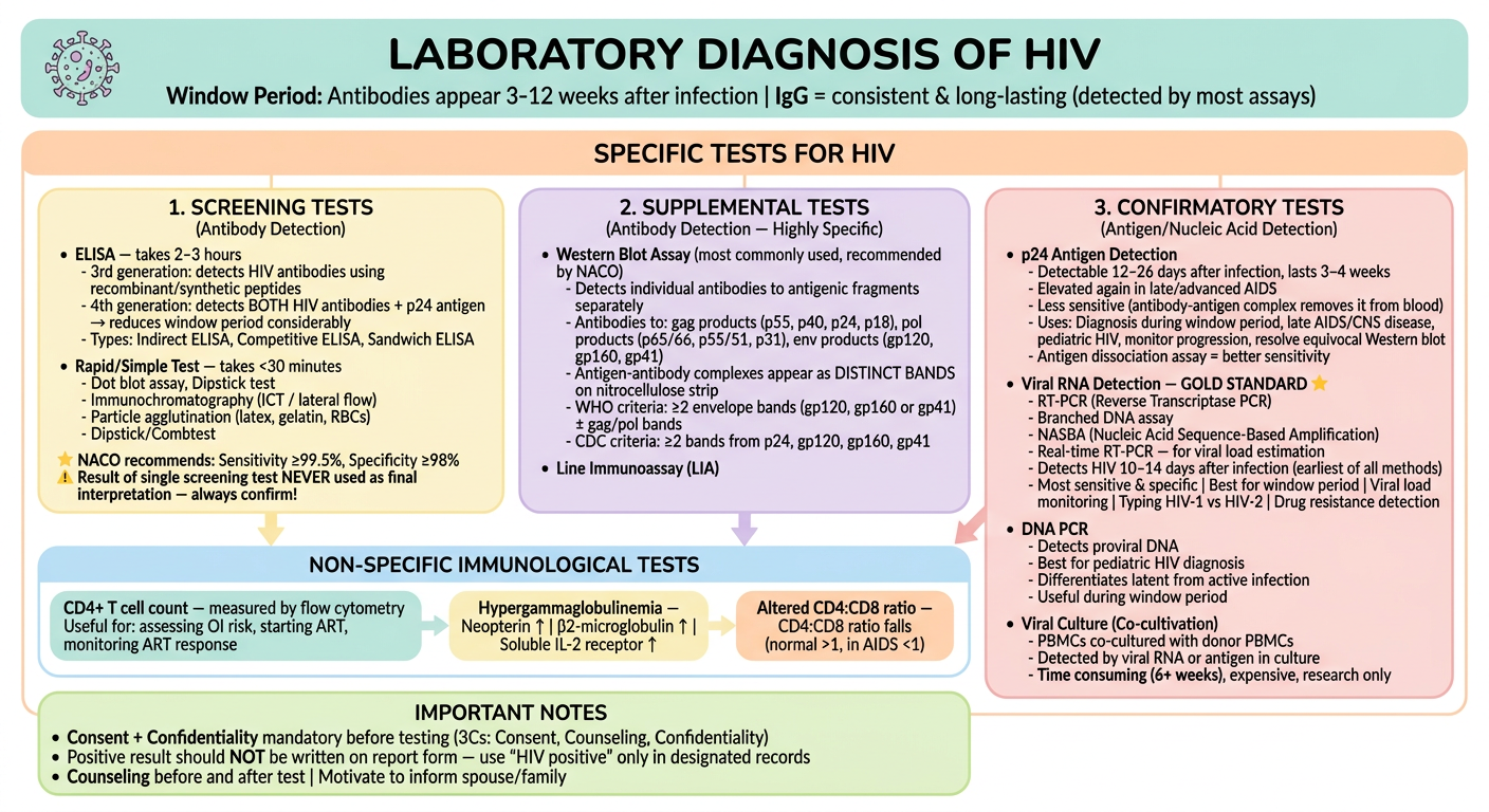 HIV Lab Diagnosis - Pastel Flowchart