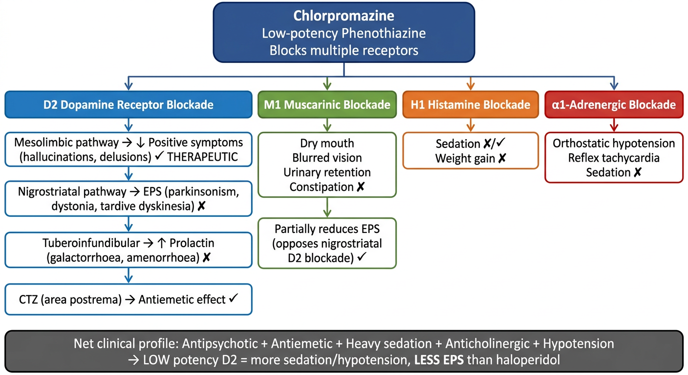 Mechanism of Action of Chlorpromazine