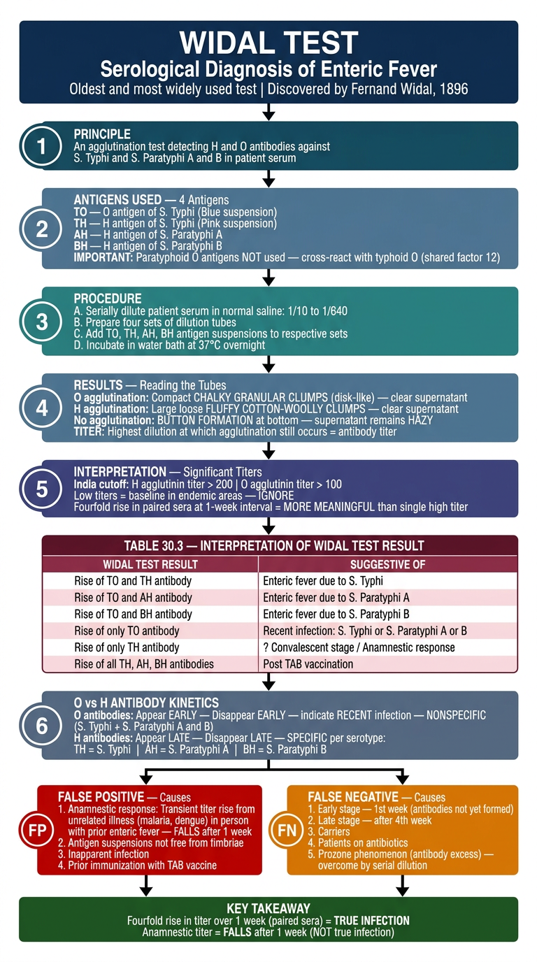 Widal Test - Complete Systematic Flowchart with Interpretation Table