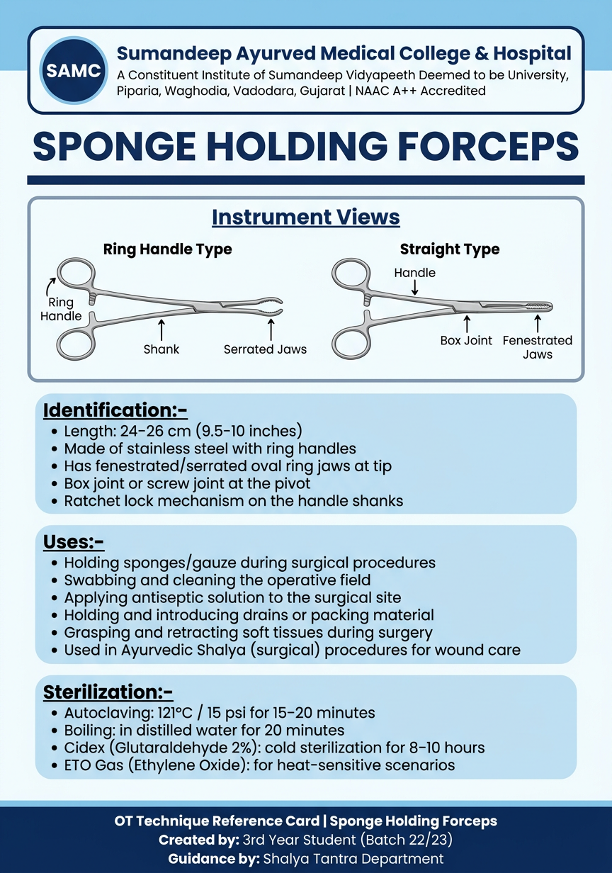 Sponge Holding Forceps - Medical Poster