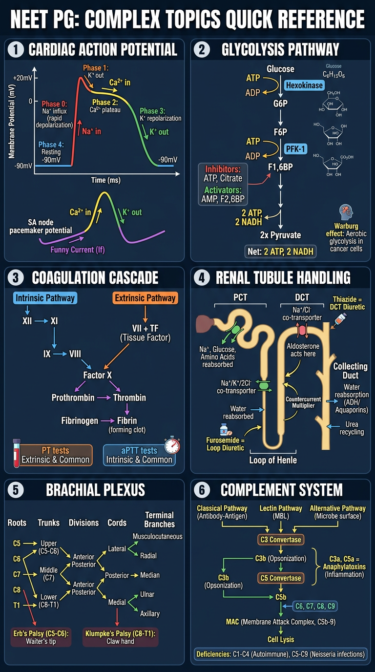 NEET PG Complex Topics Quick Reference Poster