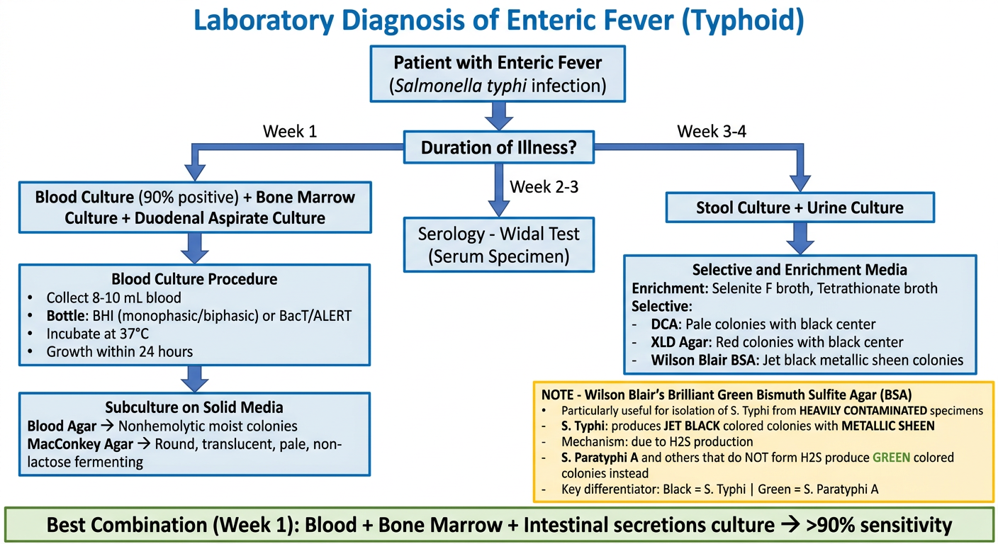 Laboratory Diagnosis of Enteric Fever - Updated Flowchart