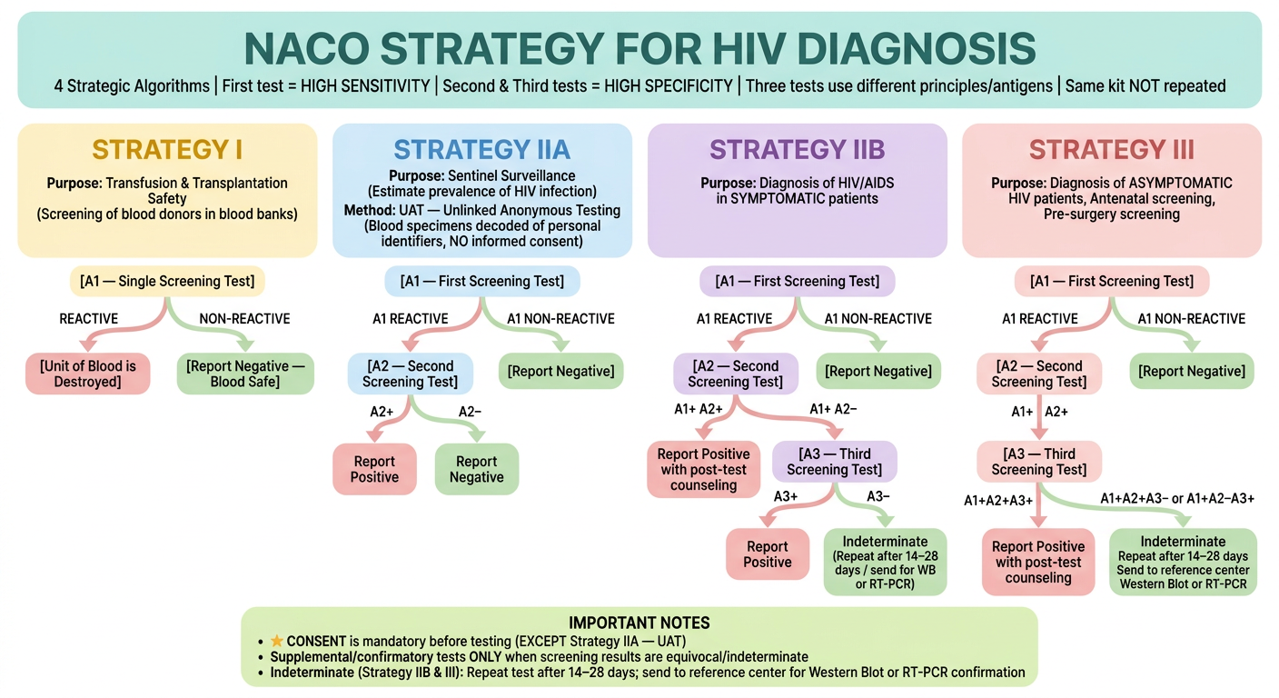 NACO Strategy for HIV Diagnosis - Pastel Flowchart