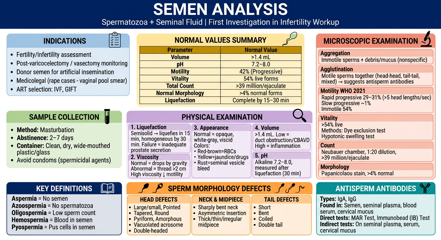 Semen Analysis Masterchart
