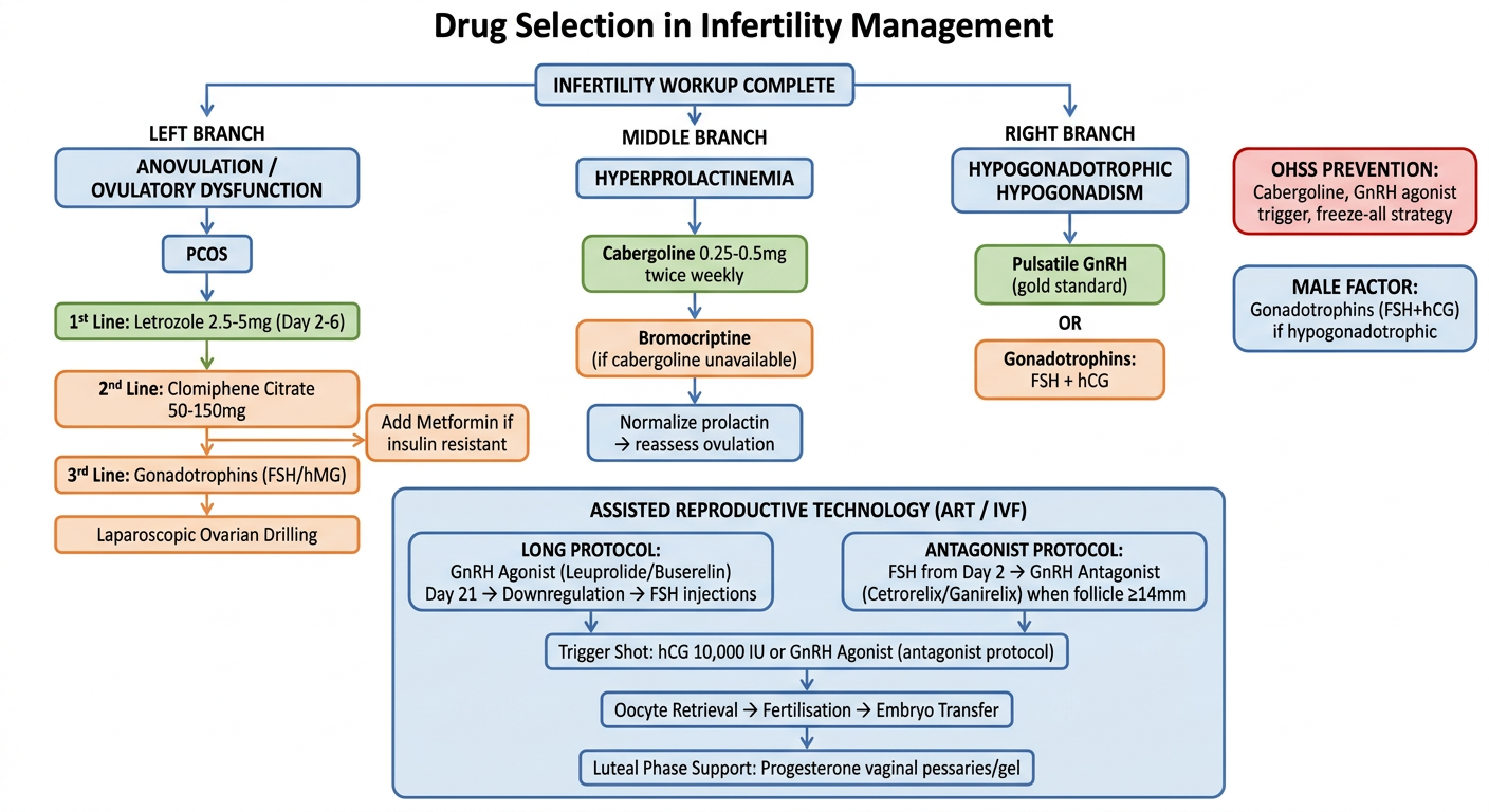 Drug Selection in Infertility Management Flowchart