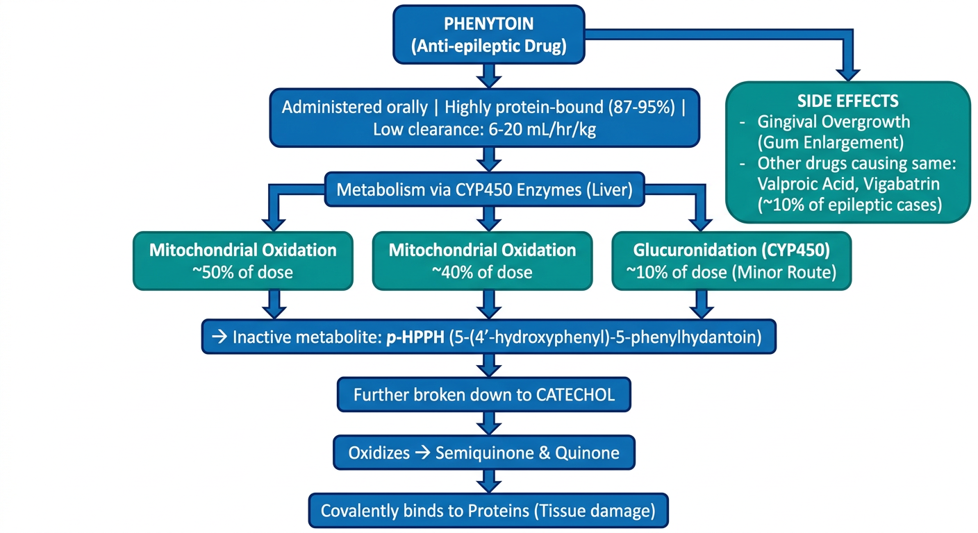Phenytoin Flowchart