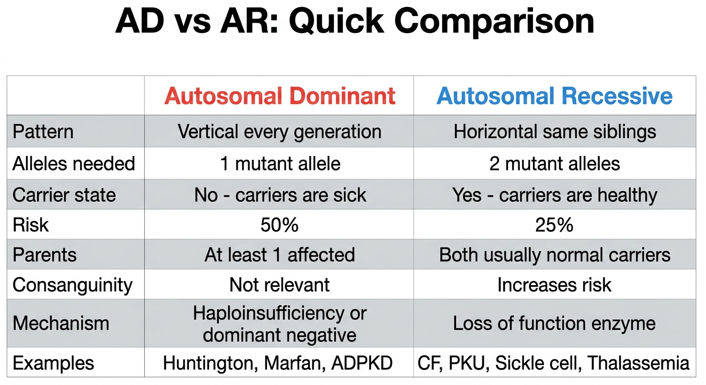 AD vs AR Comparison Table