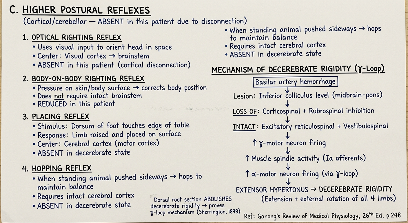 Page 5 - Higher Reflexes and Mechanism