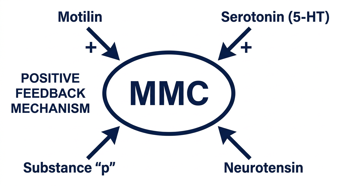 MMC Regulation Diagram