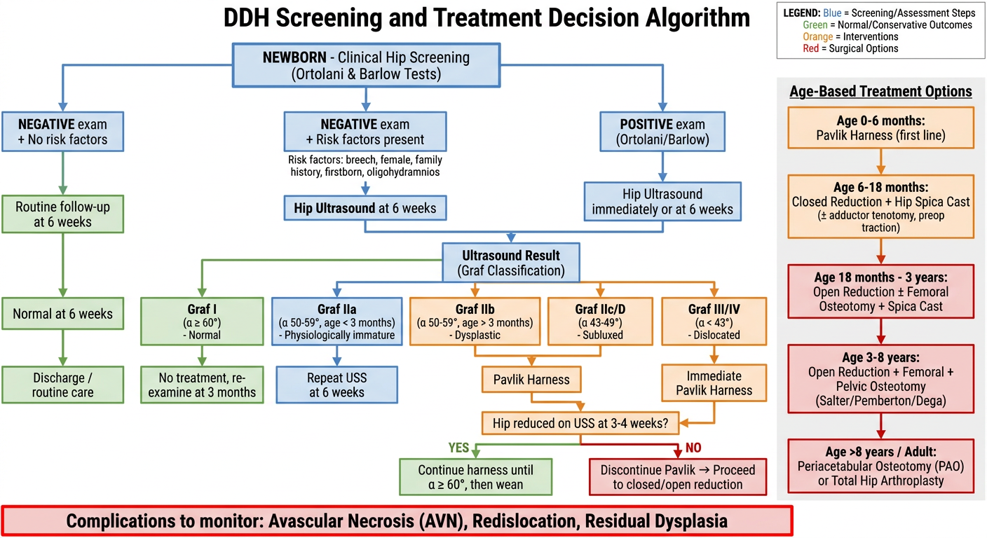 DDH Screening and Treatment Decision Algorithm