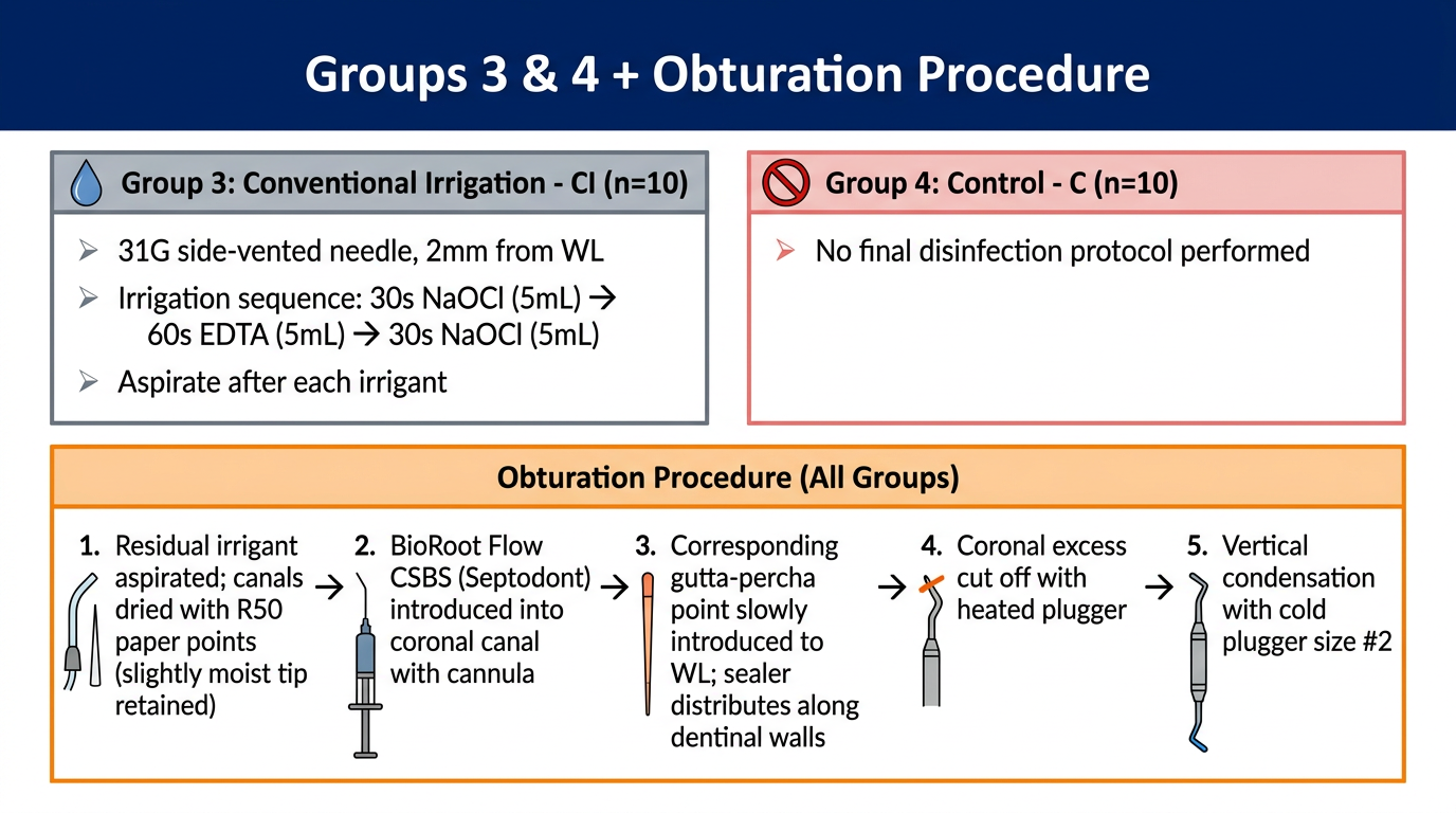Slide 3 - Groups 3 & 4 + Obturation