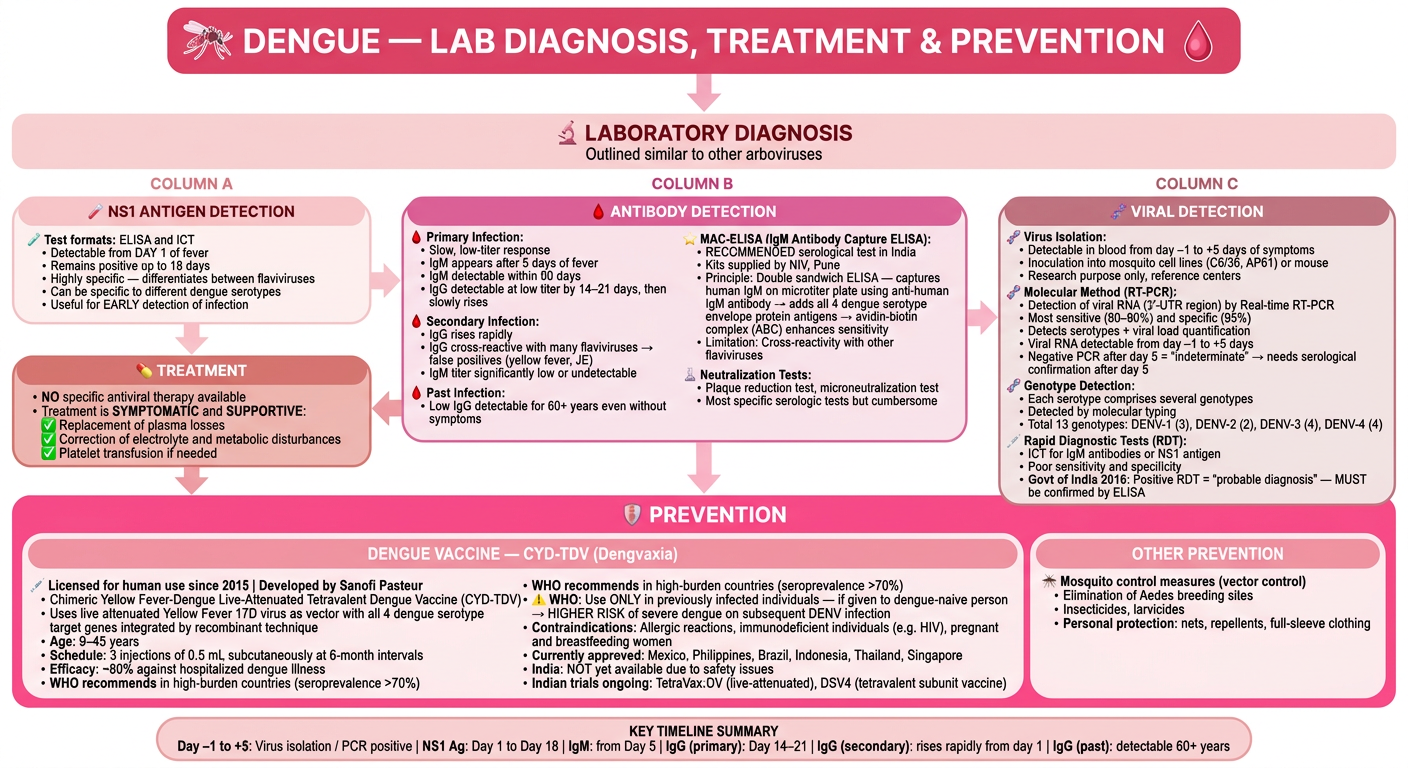Dengue Lab Diagnosis, Treatment & Prevention - Pink Flowchart
